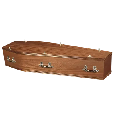 Ardd Goedwig Paulownia Arddull y DU